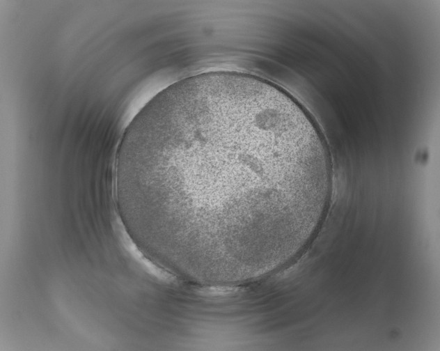 X0000110881290200907161453