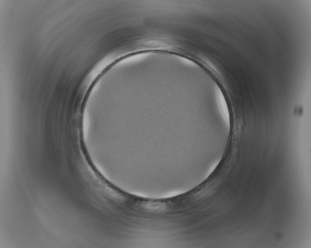 X0000110881291200907161453