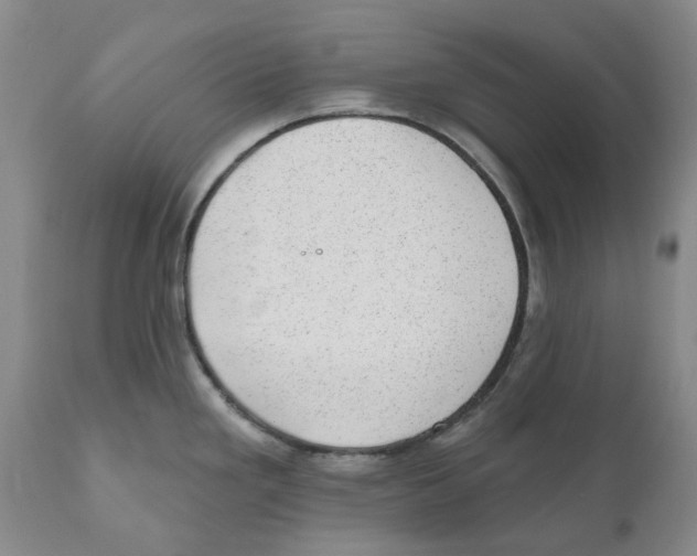 X0000110881293200907161453