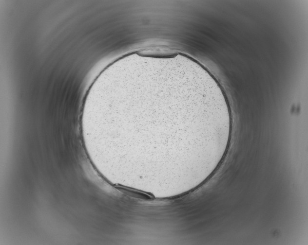 X0000110881296200907161453