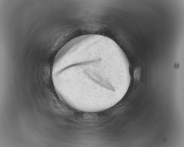 X0000110881299200907161452