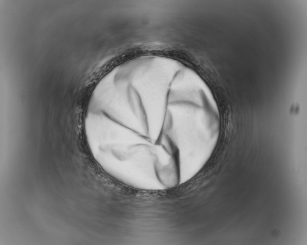 X0000110881301200907161452