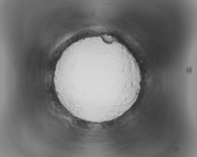 X0000110881302200907161452