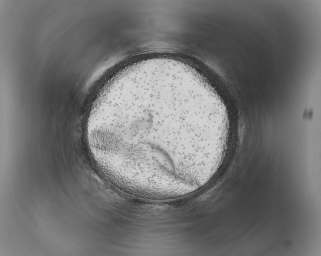 X0000110881309200907161452