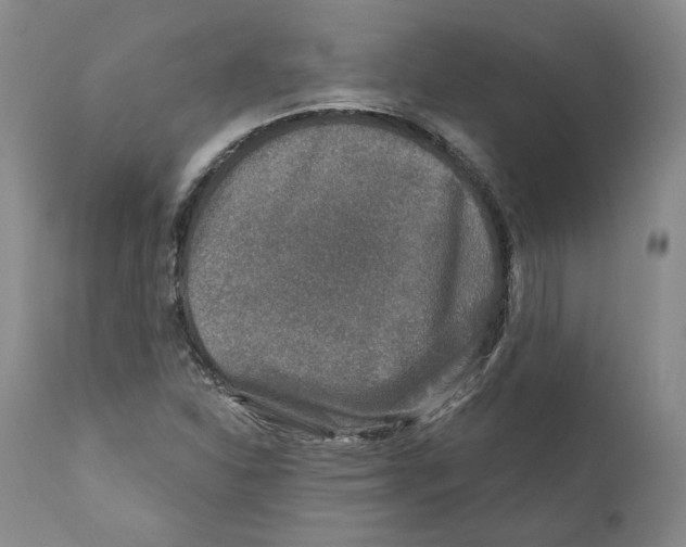 X0000110881310200907161452