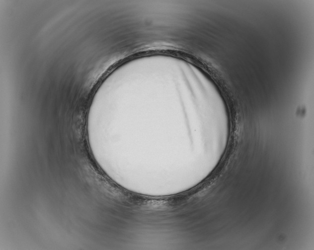 X0000110881313200907161452