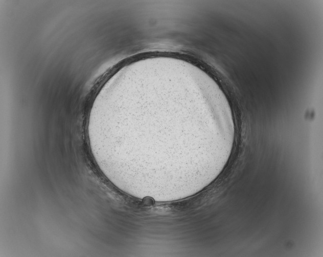 X0000110881315200907161452