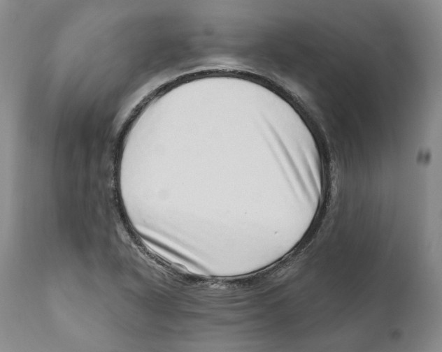 X0000110881318200907161452