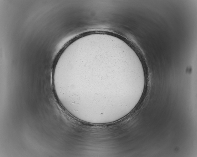 X0000110881320200907161452