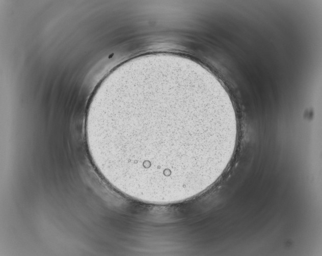 X0000110881322200907161452