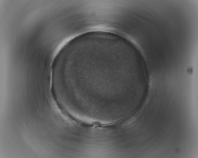 X0000110881323200907161452