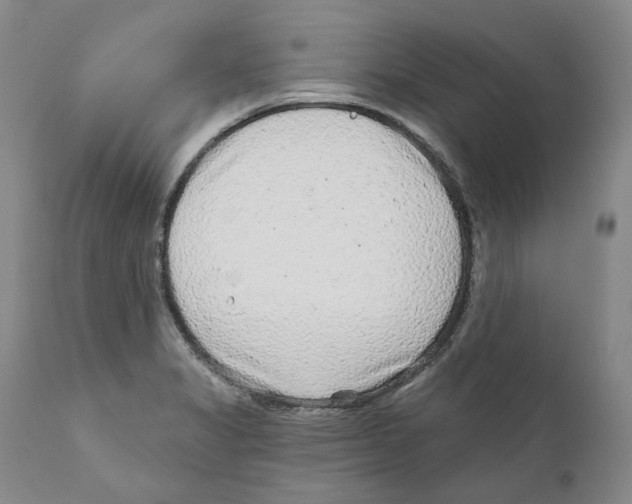 X0000110881325200907161452