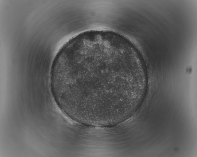 X0000110881327200907161452