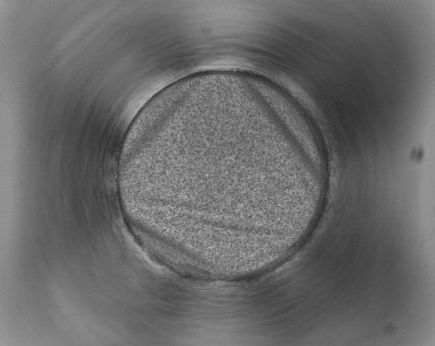 X0000110881329200907161452