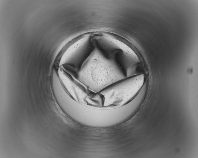 X0000110881332200907161452