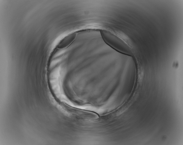 X0000110881334200907161452