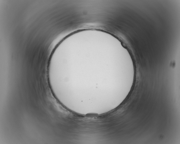 X0000110881336200907161452