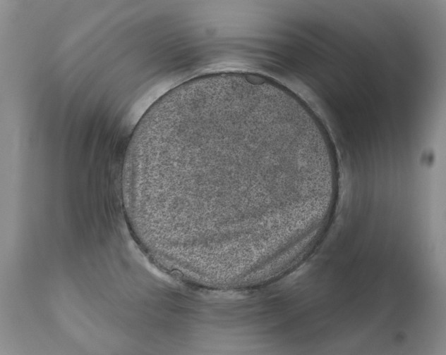 X0000110881337200907161453