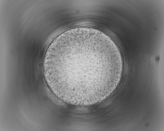 X0000110881338200907161453