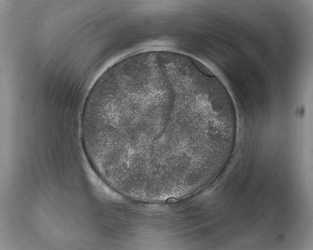 X0000110881341200907161453