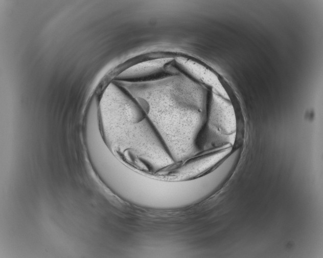 X0000110881342200907161453