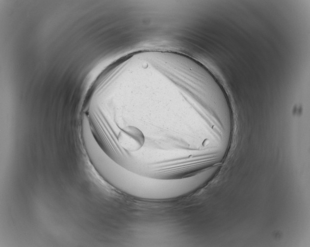 X0000110881344200907161453