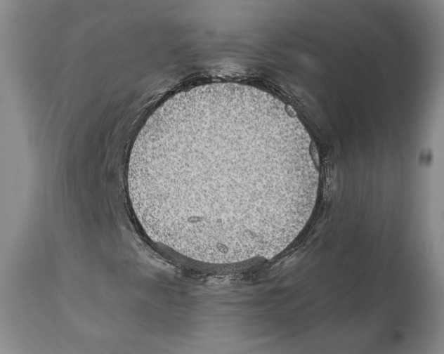 X0000110881345200907161452