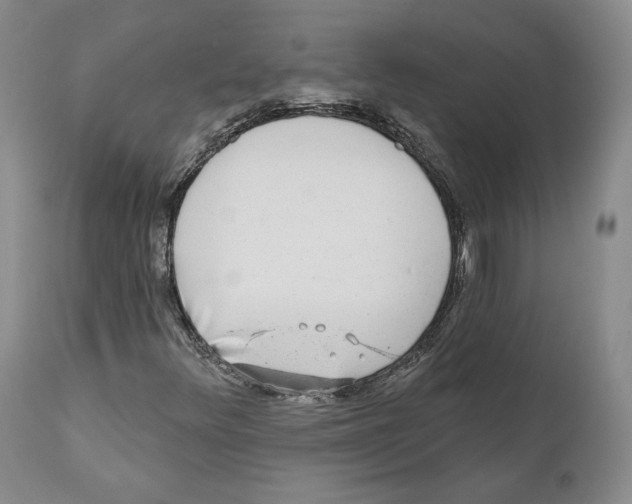 X0000110881348200907161452