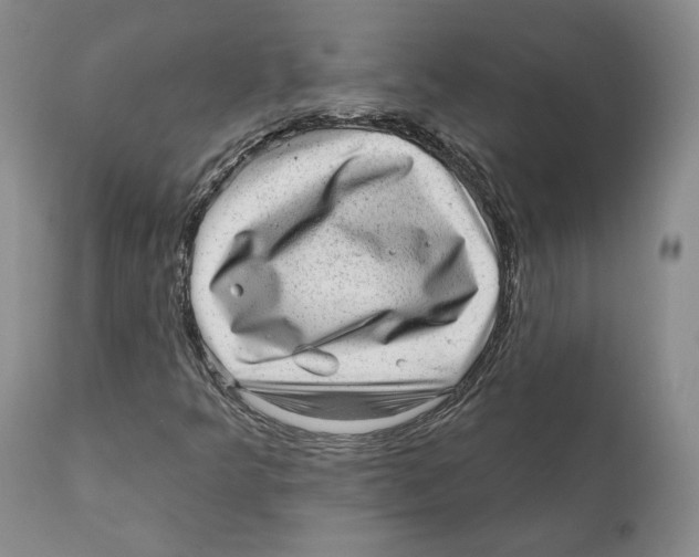 X0000110881349200907161452