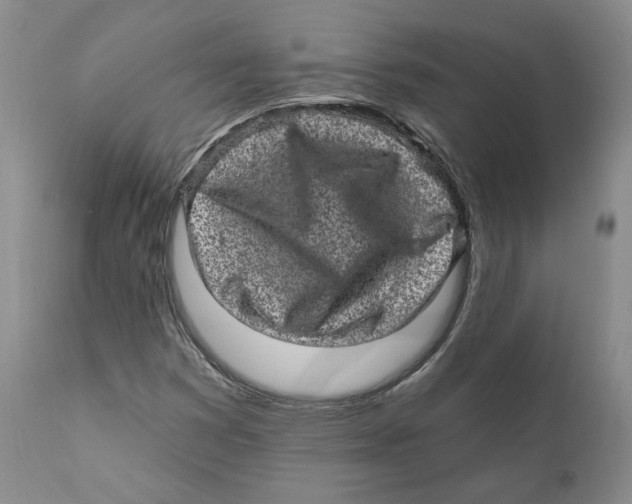 X0000110881353200907161452