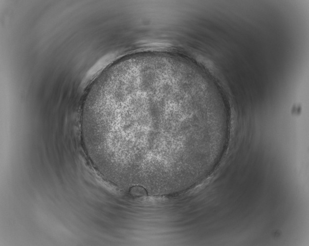 X0000110881354200907161452