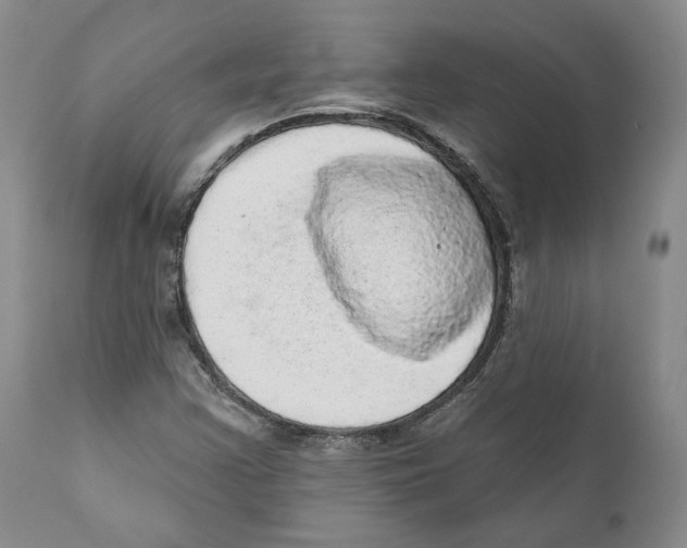 X0000110881355200907161452