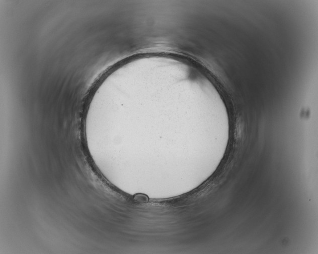 X0000110881356200907161452