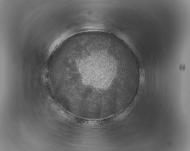 X0000110881357200907161452