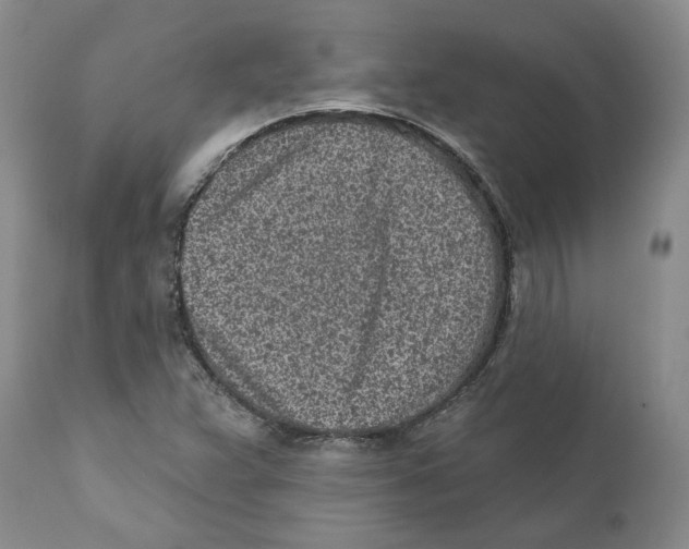 X0000110881359200907161452