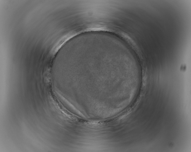 X0000110881361200907161452