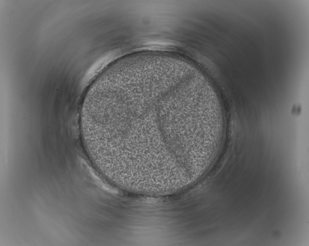 X0000110881362200907161452