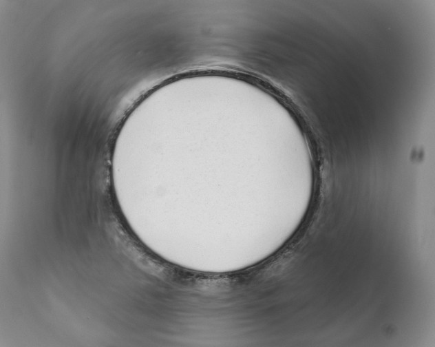 X0000110881363200907161452