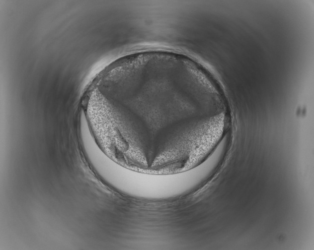 X0000110881365200907161451