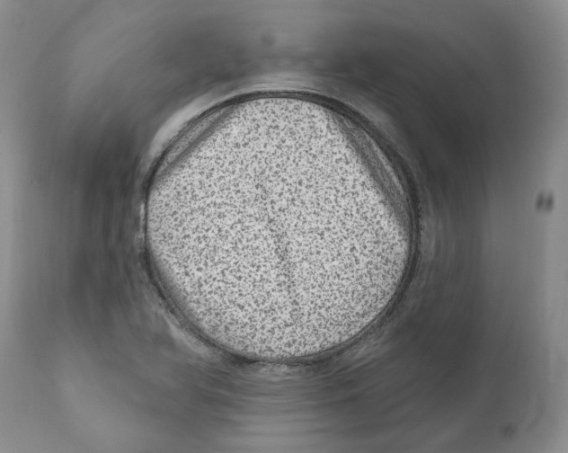 X0000110881366200907161451