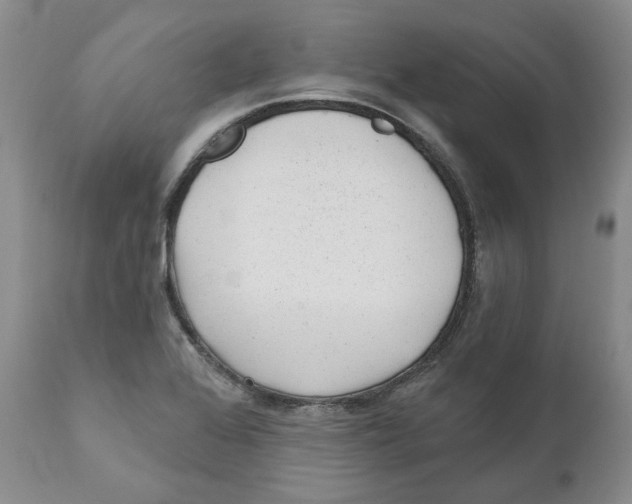 X0000110881368200907161451