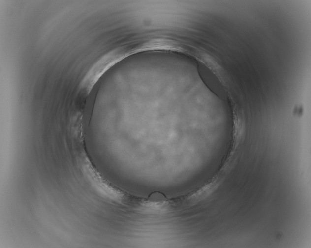 X0000110881369200907161451