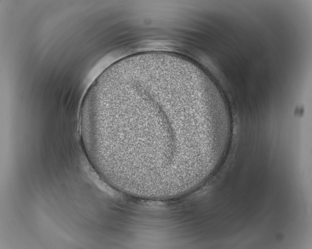 X0000110881370200907161451