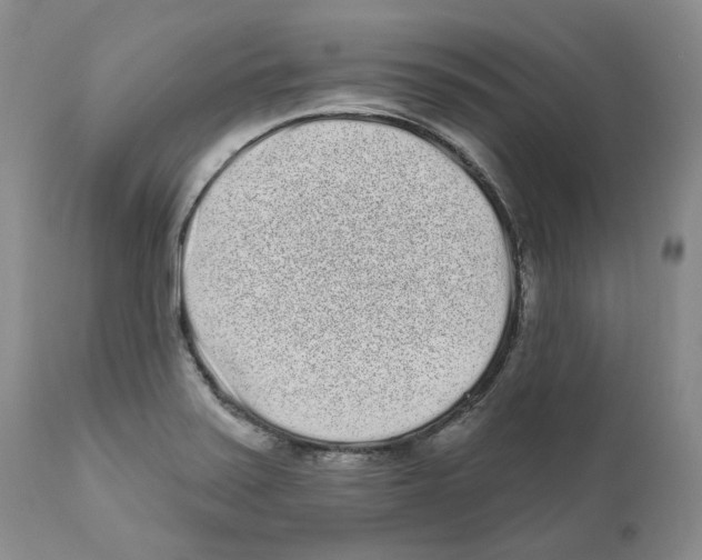 X0000110881371200907161451