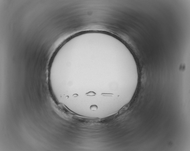 X0000110881372200907161451