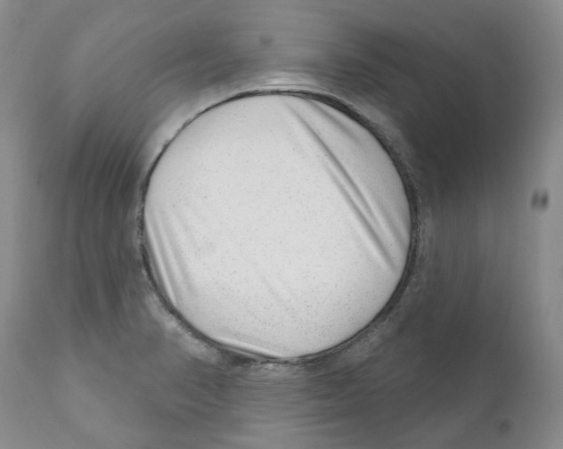 X0000110881374200907161451