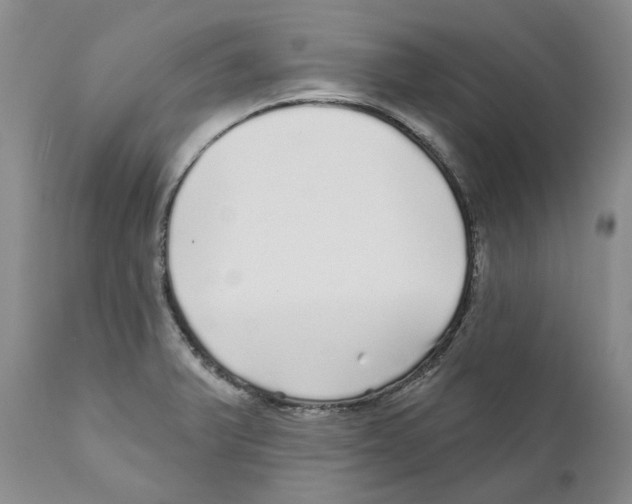 X0000110881375200907161451