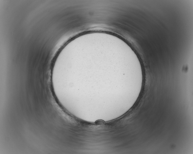 X0000110881376200907161451