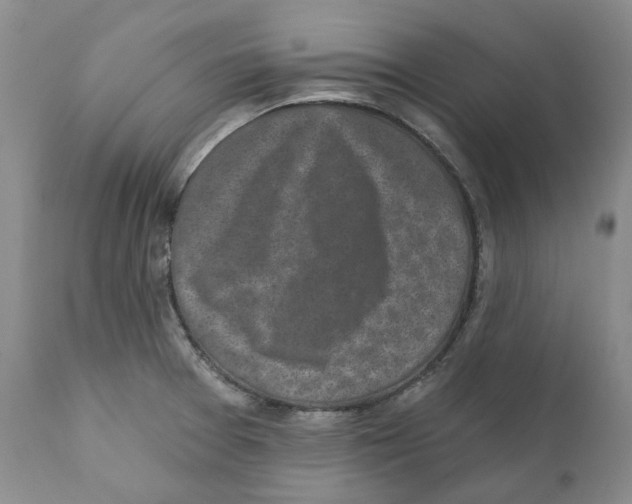 X0000110881377200907161451