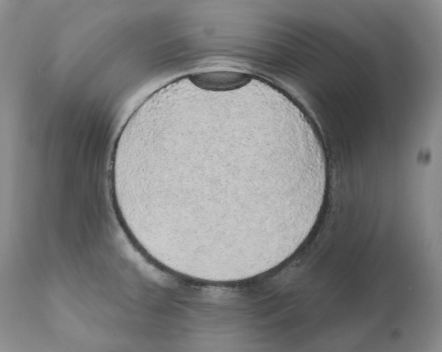 X0000110881379200907161451